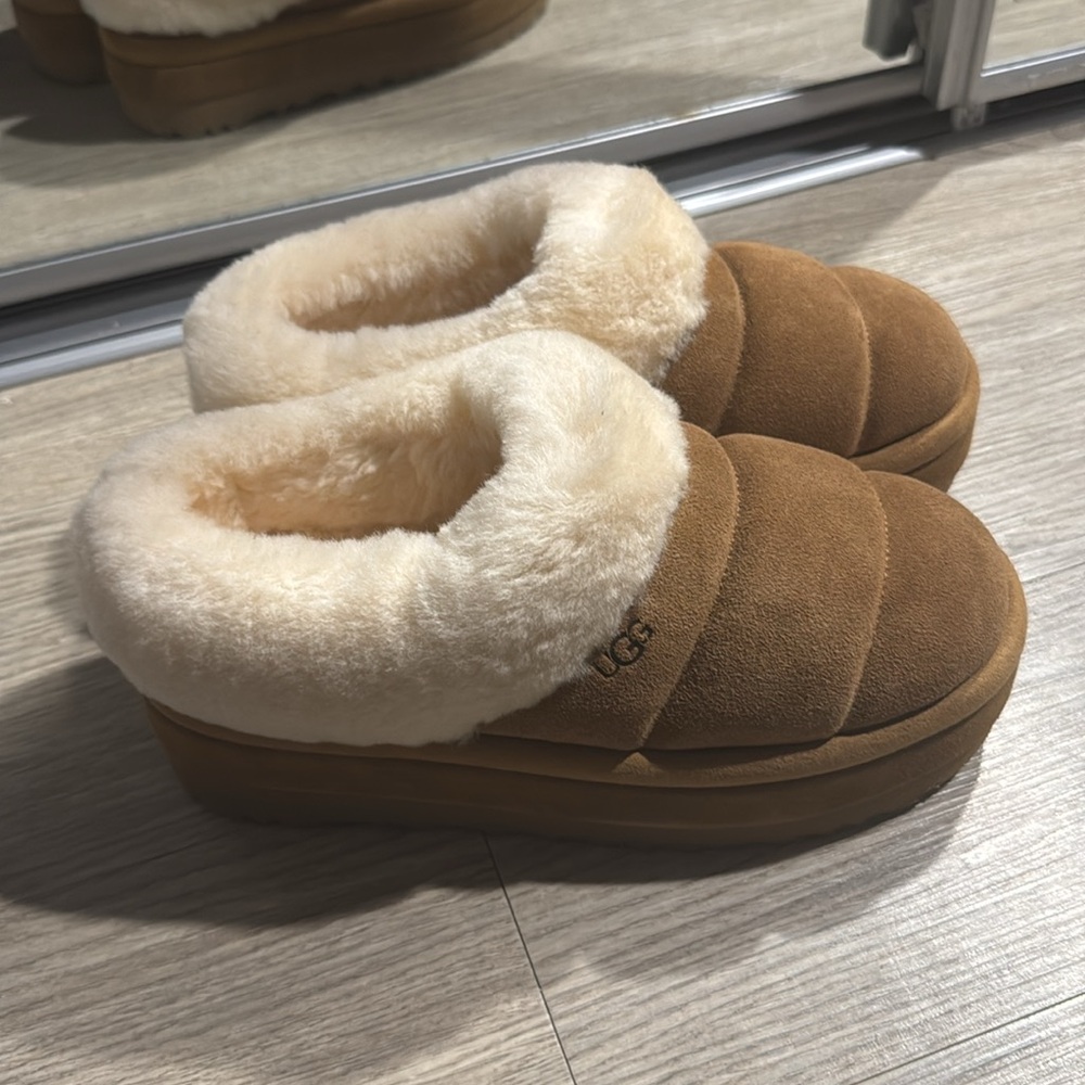 Tazzlita slippers